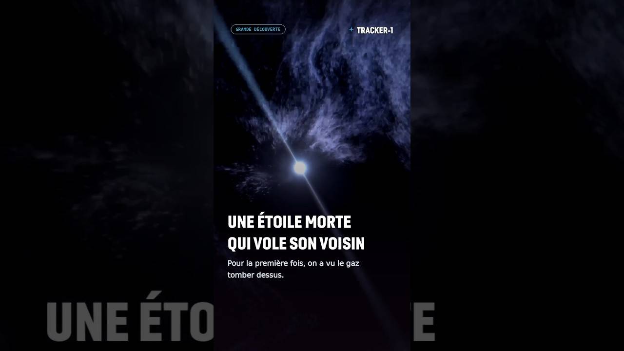 Une étoile morte qui vole son voisin #pulsar