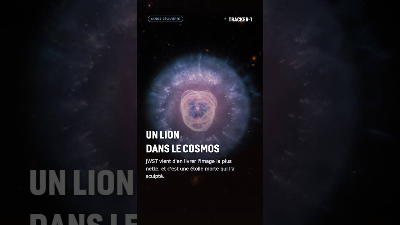 Un Lion dans le cosmos