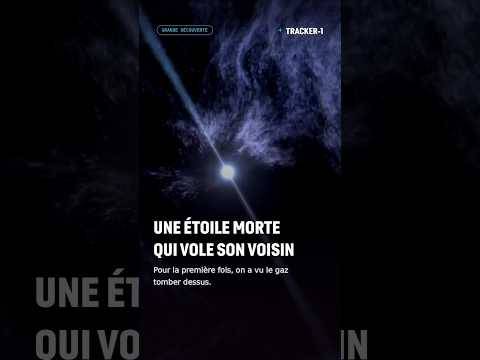Une étoile morte qui vole son voisin #pulsar