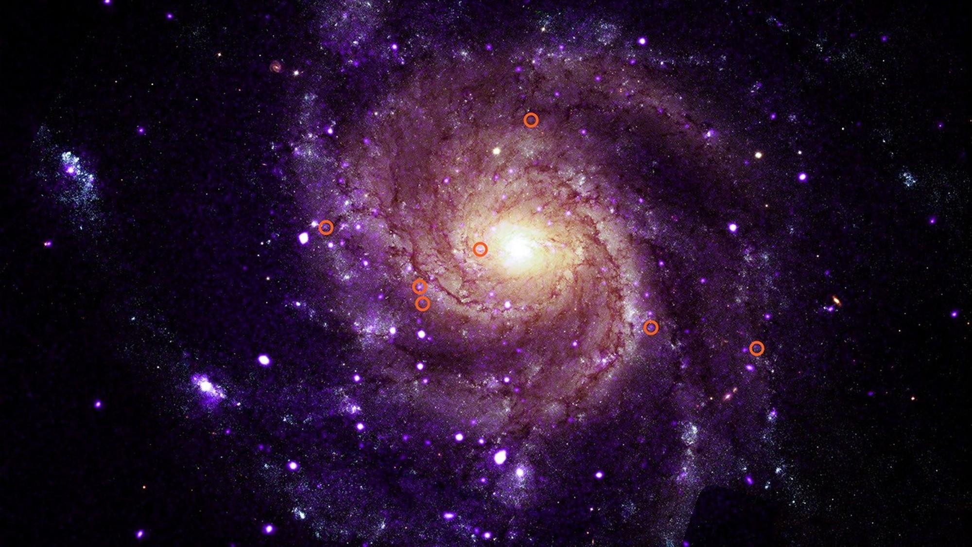 La galaxia del Molinete en imagen compuesta, con siete pequeños círculos rojos que rodean cada uno un punto luminoso tenue repartido por los brazos espirales morados.