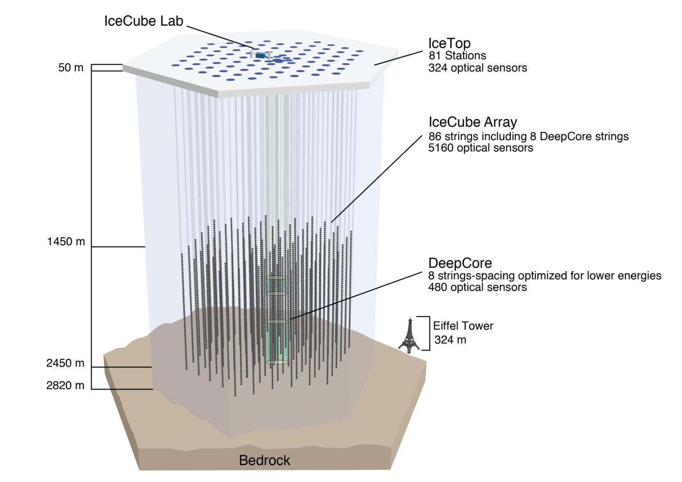 Vista de la red IceCube: una cuadrícula regular de puntos azules que representa las cuerdas de sensores, con la estación IceTop y la zona más densa de DeepCore en el centro.