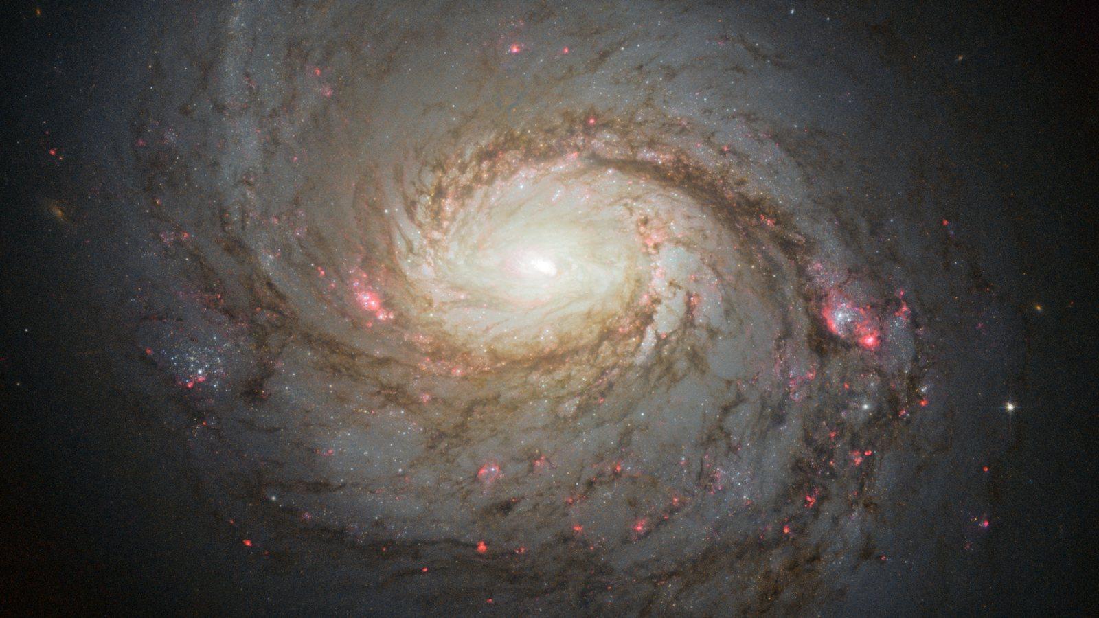 La galaxia espiral NGC 1068 vista por el telescopio Hubble, con un núcleo muy brillante rodeado de brazos recorridos por franjas de polvo oscuro y manchas rojas de formación de estrellas.