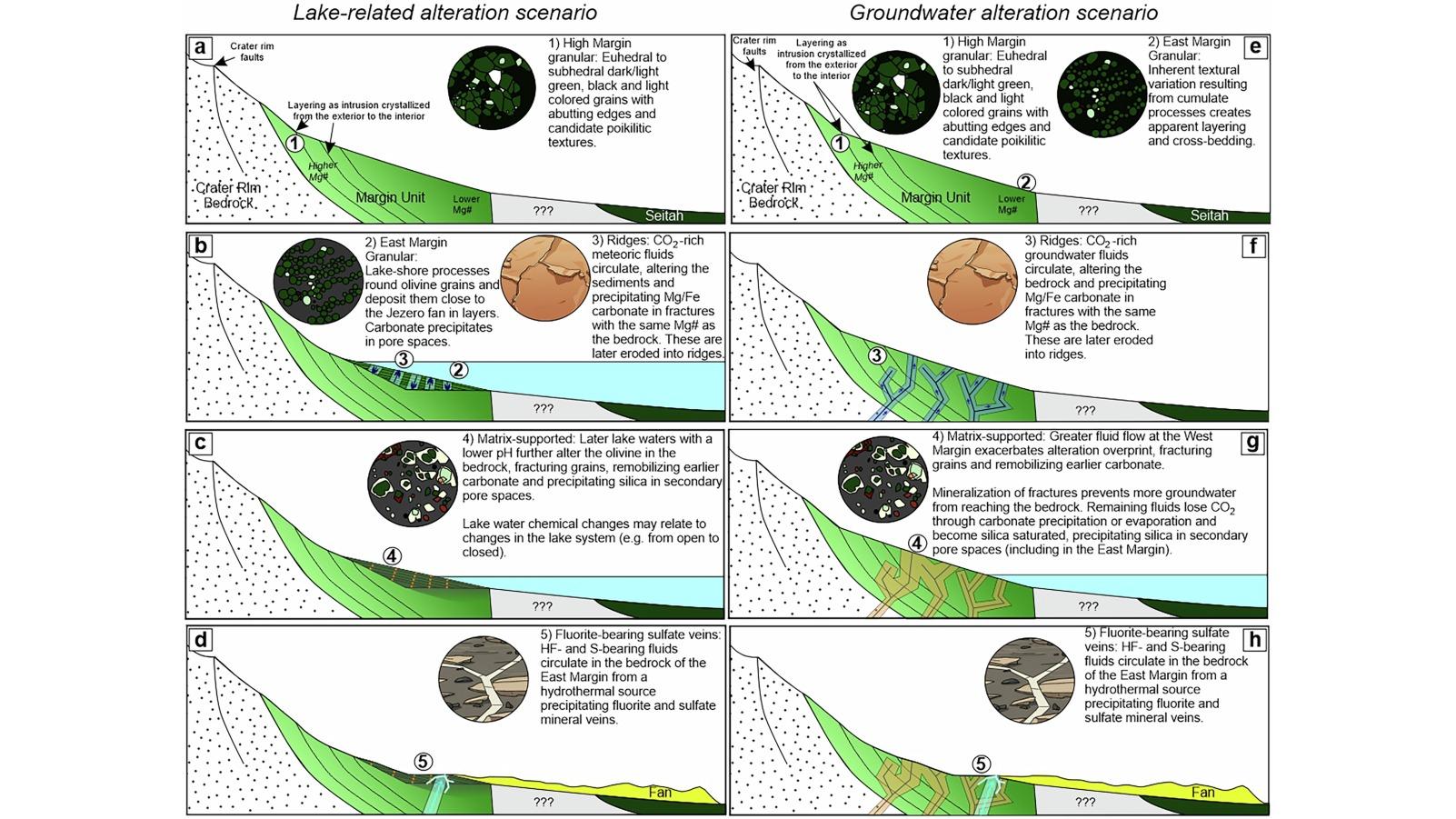 Two parallel schematic diagrams comparing a lake-driven scenario and a groundwater-only scenario for the formation of the Margin Unit, each ending in a final late-stage step where fluorite-bearing sulfate veins form.