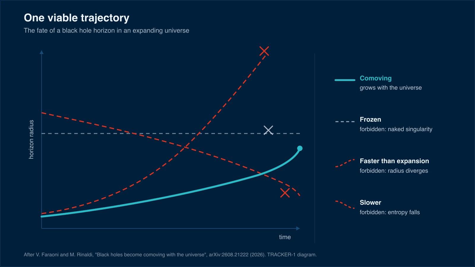 Diagram of the possible paths of a black hole horizon over time: a frozen curve, a diverging one and a shrinking one struck out as forbidden, and a single viable cyan curve tracking the scale factor of the universe.