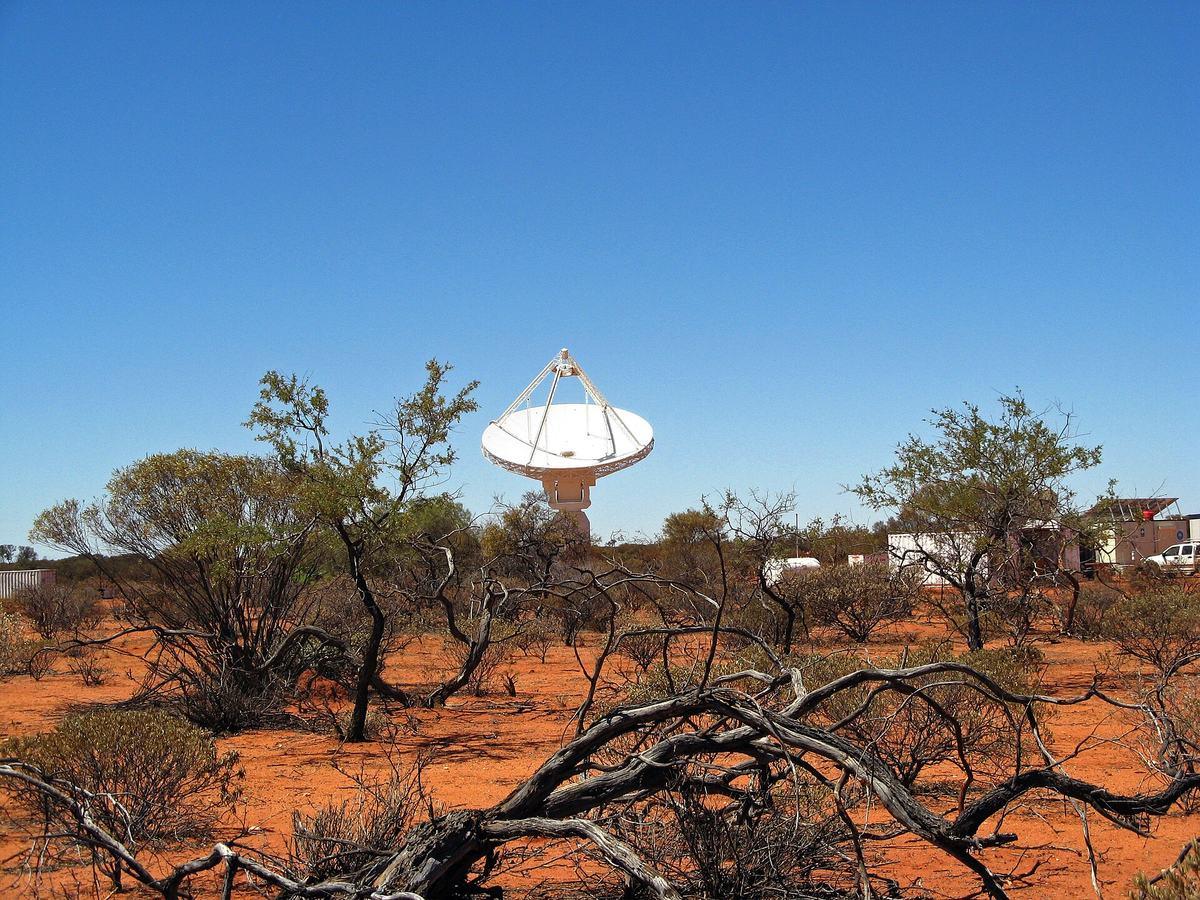 Les grandes antennes blanches du radiotélescope ASKAP, en Australie-Occidentale, alignées sous un ciel dégagé.