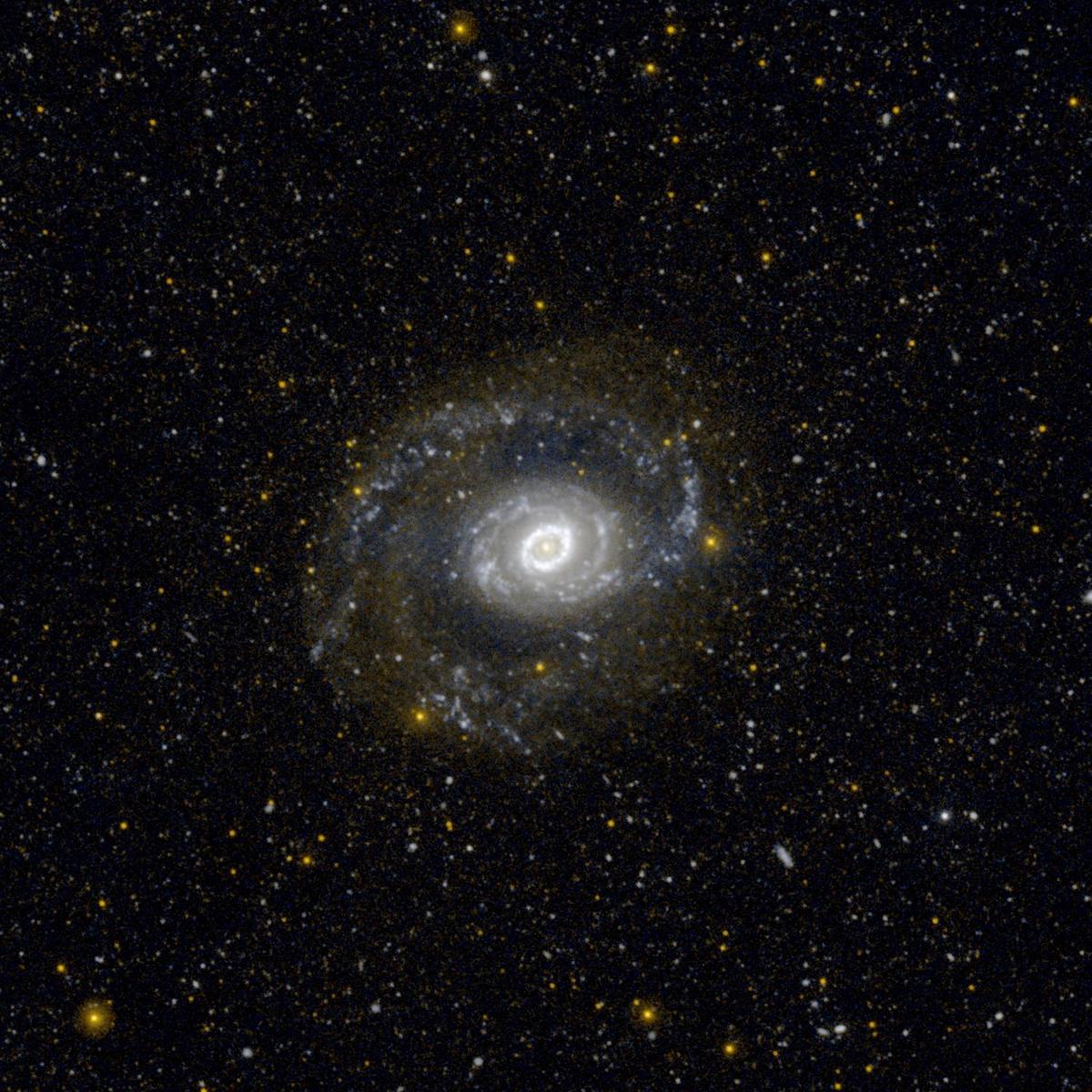 The galaxy M94 seen in ultraviolet light by GALEX, with a bright ring of young stars around a glowing core against black space.