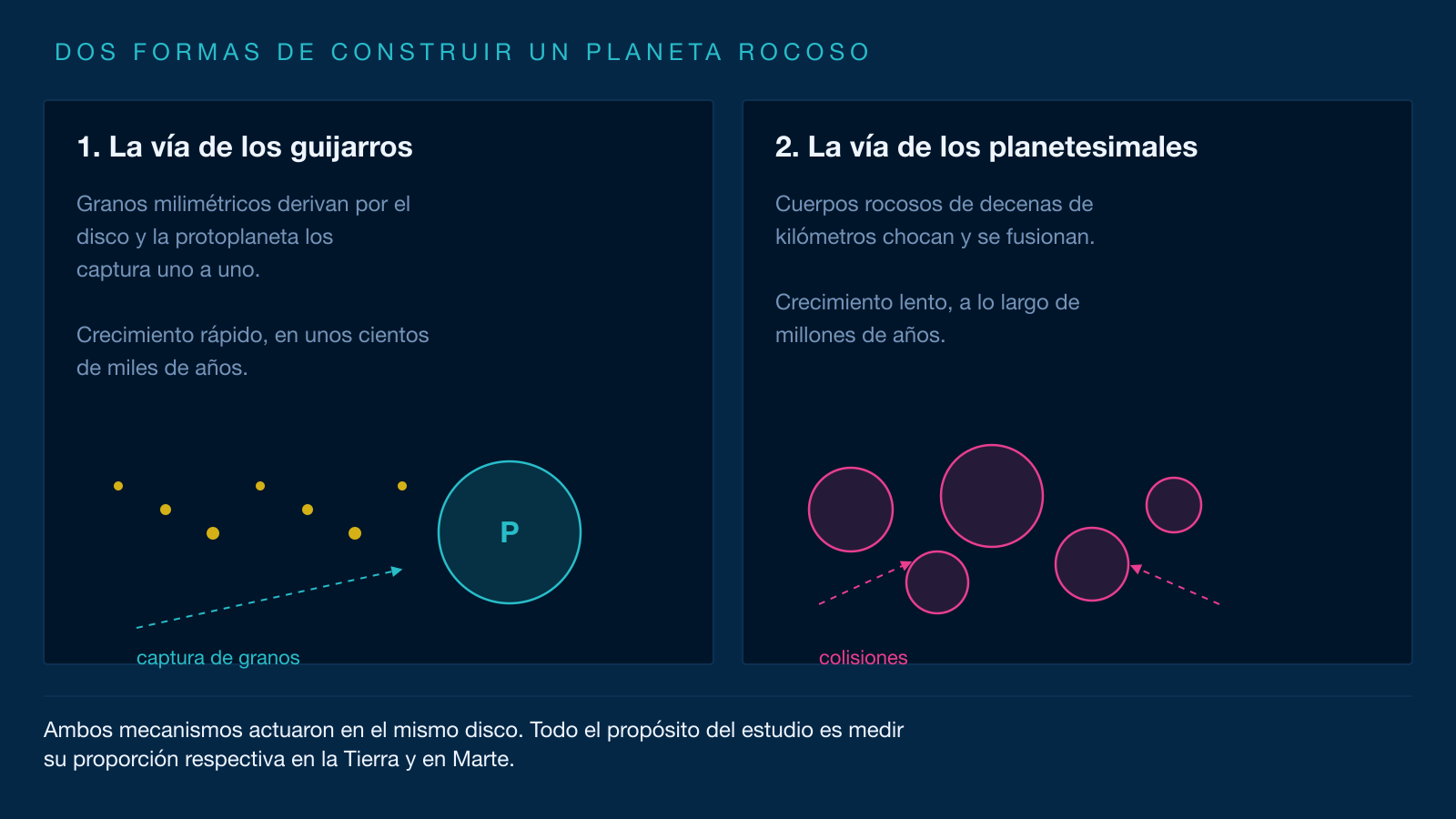 Esquema en dos paneles que compara las dos vías de formación. A la izquierda, granos milimétricos son capturados uno a uno por la gravedad de una protoplaneta. A la derecha, grandes cuerpos rocosos se ensamblan mediante colisiones sucesivas.