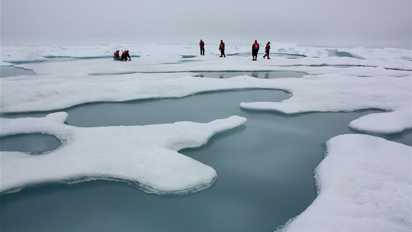 Aerial view of broken sea ice in grey and white plates, pierced by turquoise melt ponds, in the Chukchi Sea off Alaska.