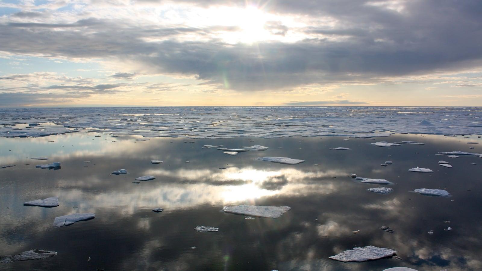 From a ship's deck, a grey-blue sea dotted with small scattered white ice floes under an overcast sky, off the coast of Alaska.