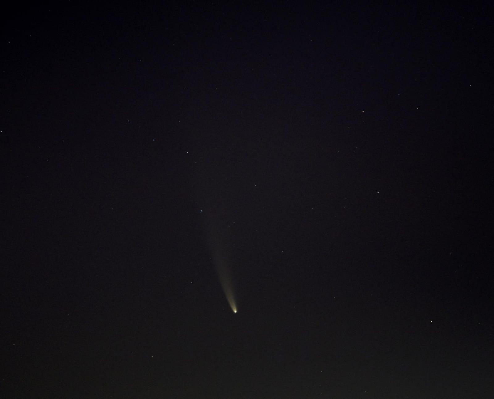 El cometa NEOWISE en el cielo del amanecer sobre Washington, con su cabellera brillante y una larga cola.