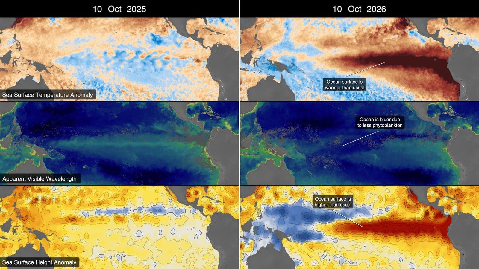 Six maps of the tropical Pacific comparing 2025 and 2026 across three signals: sea surface temperature, ocean colour and sea surface height.