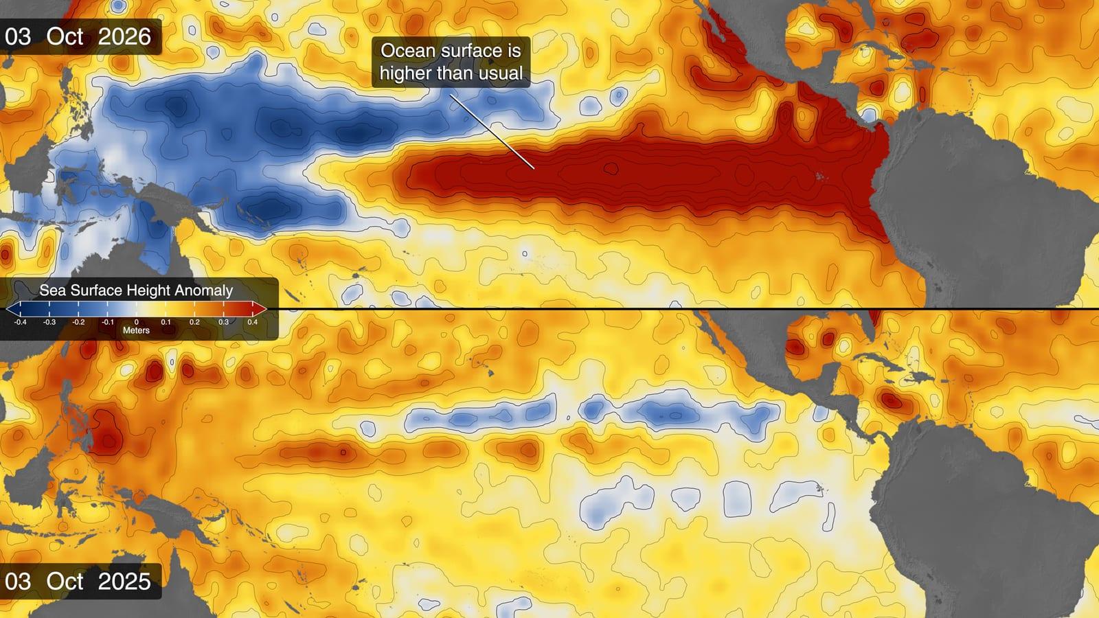 Two maps of the tropical Pacific comparing sea surface height in 2025 and 2026, with a broad orange and red band stretched along the equator in 2026.
