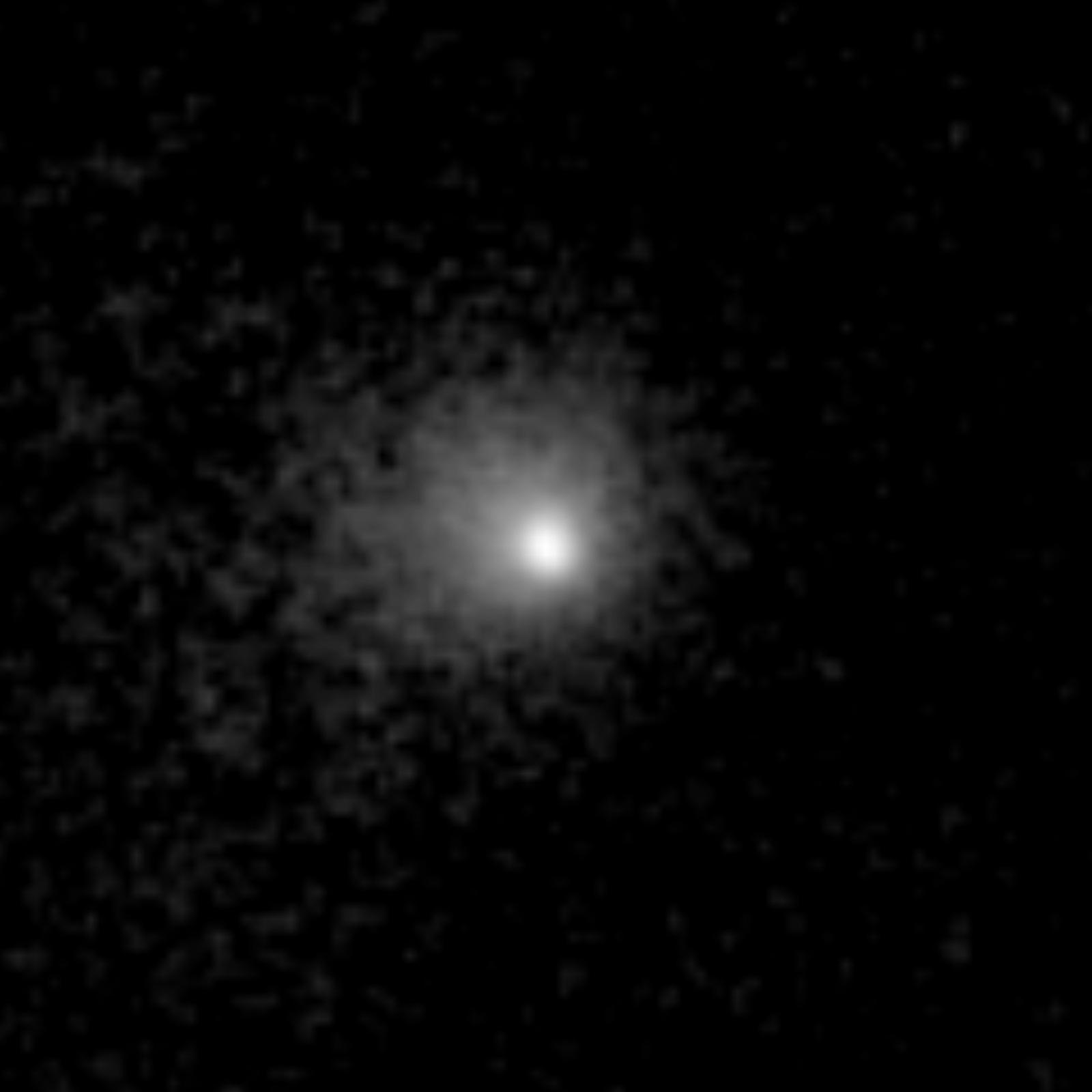 Image en noir et blanc d'une comète en gros plan : un noyau brillant entouré d'une vaste nébulosité diffuse qui s'estompe sur un fond noir parsemé d'étoiles.