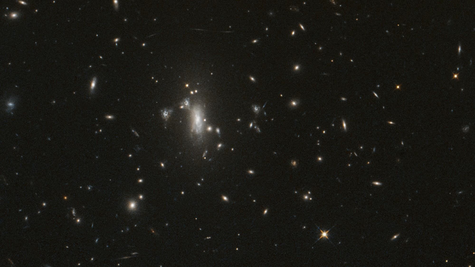 L'amas de galaxies MACS J0417 photographié par Hubble : un champ dense de galaxies de tailles et de couleurs variées, dont une grande galaxie diffuse à gauche du centre.