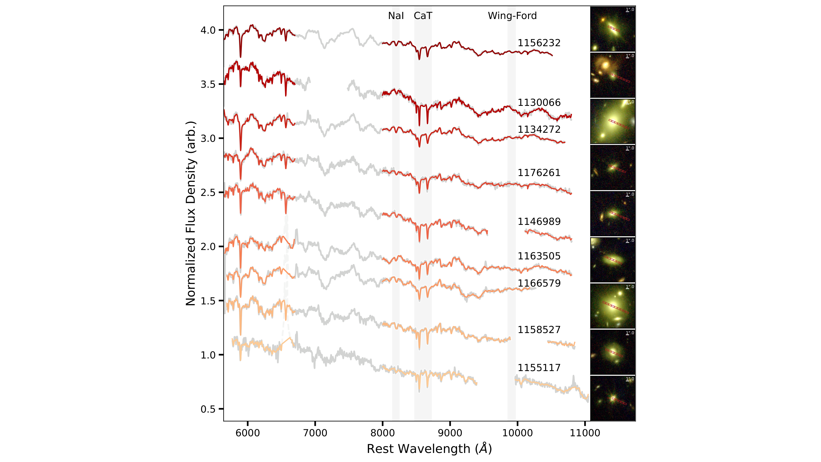 Spectra of the nine massive galaxies studied by the JWST-IMFERNO program, alongside their images taken by the James Webb Space Telescope.