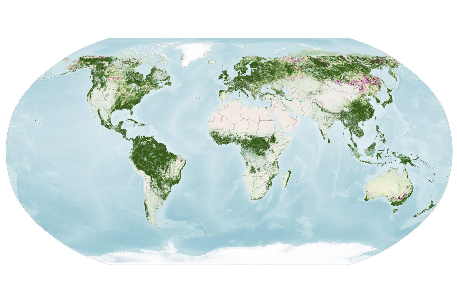 World map of vegetation redness from October 5 to 11, 2026, with red patches sliding into the central and eastern United States, Mongolia and northern China.