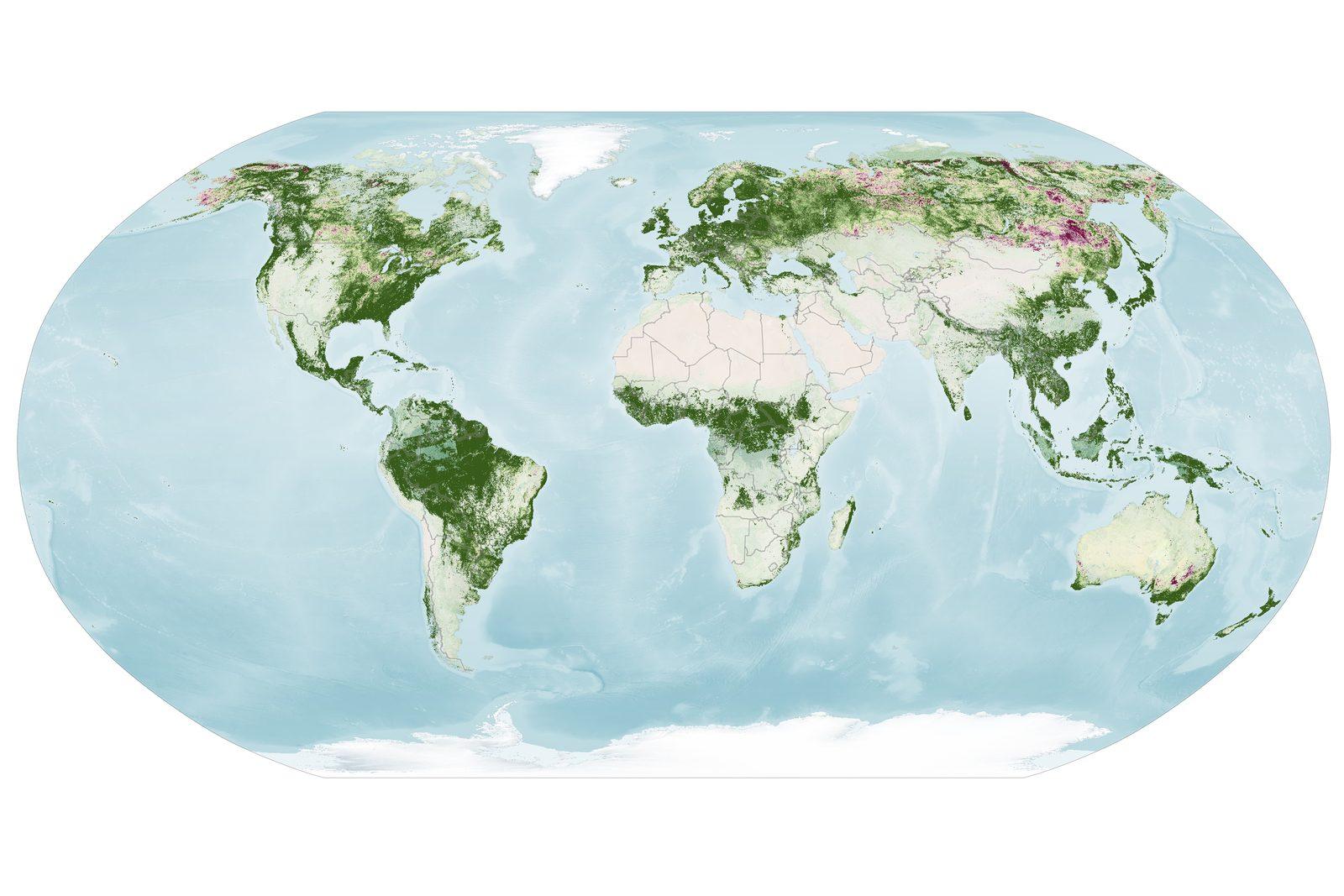 World map of vegetation redness from September 29 to October 4, 2026, with broad red patches over Canada, Alaska, northern Russia and New England.