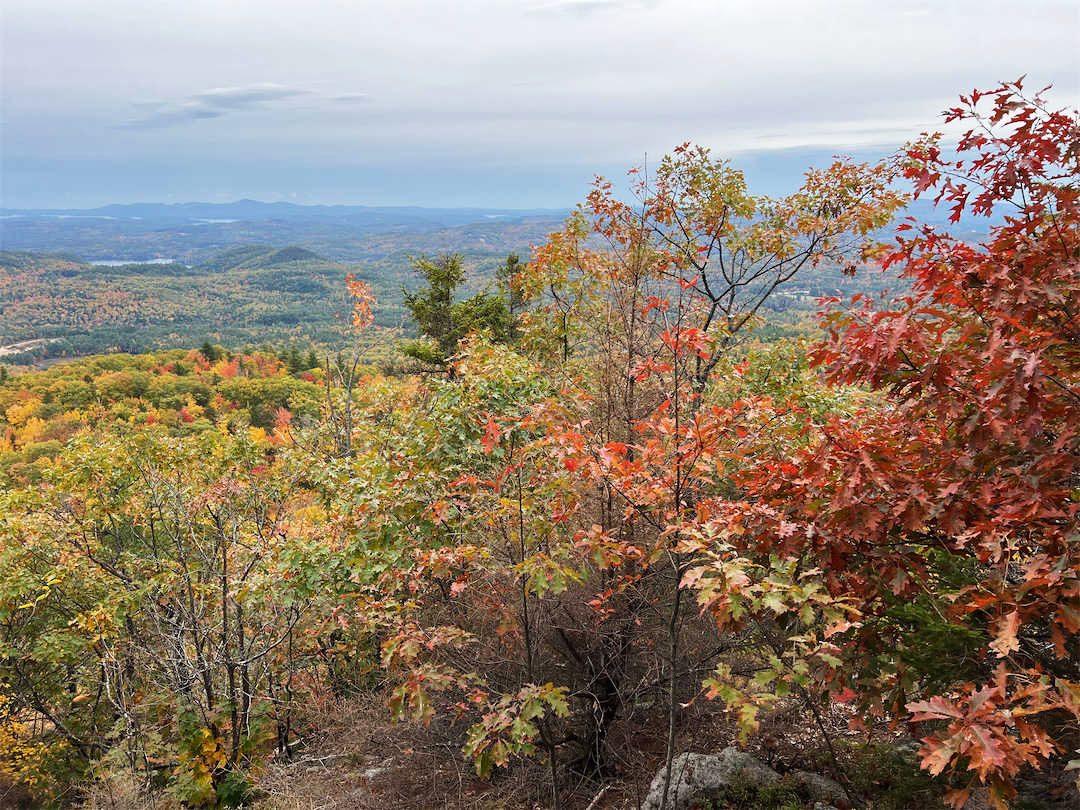 New England forest landscape in autumn colours, with red and orange trees, photographed at Meredith, New Hampshire, on October 11, 2026.