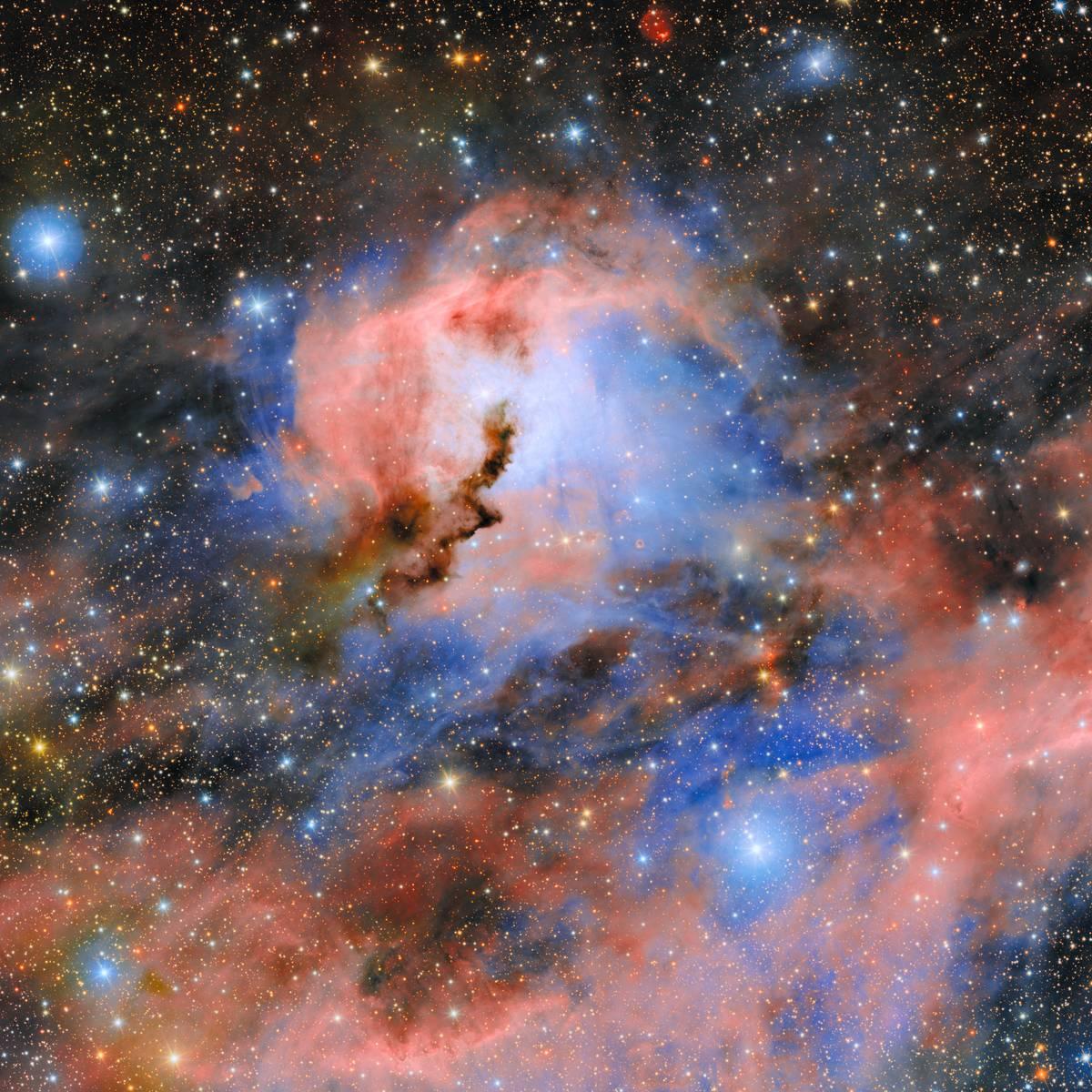 El campo de ComCam alrededor de la cabeza de la Gaviota, con volutas de gas rosa y velos de polvo azul sobre un fondo de estrellas.