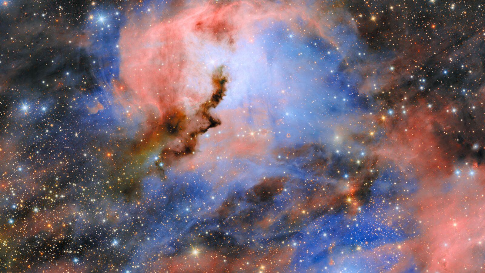 La cabeza de la nebulosa de la Gaviota, una nube de gas rosa y azul atravesada por una cresta oscura, vista por la cámara ComCam.