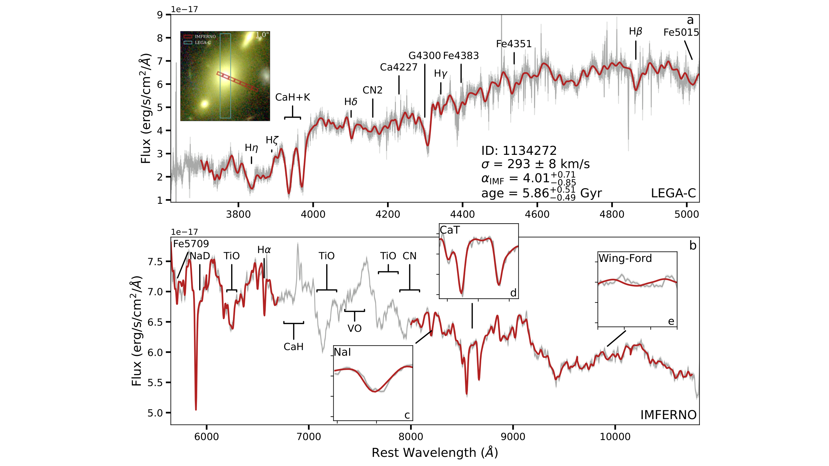 Combined VLT and JWST spectrum of galaxy 1134272, showing the Na I, CaT and Wing-Ford absorption bands, sensitive to the red dwarf population.