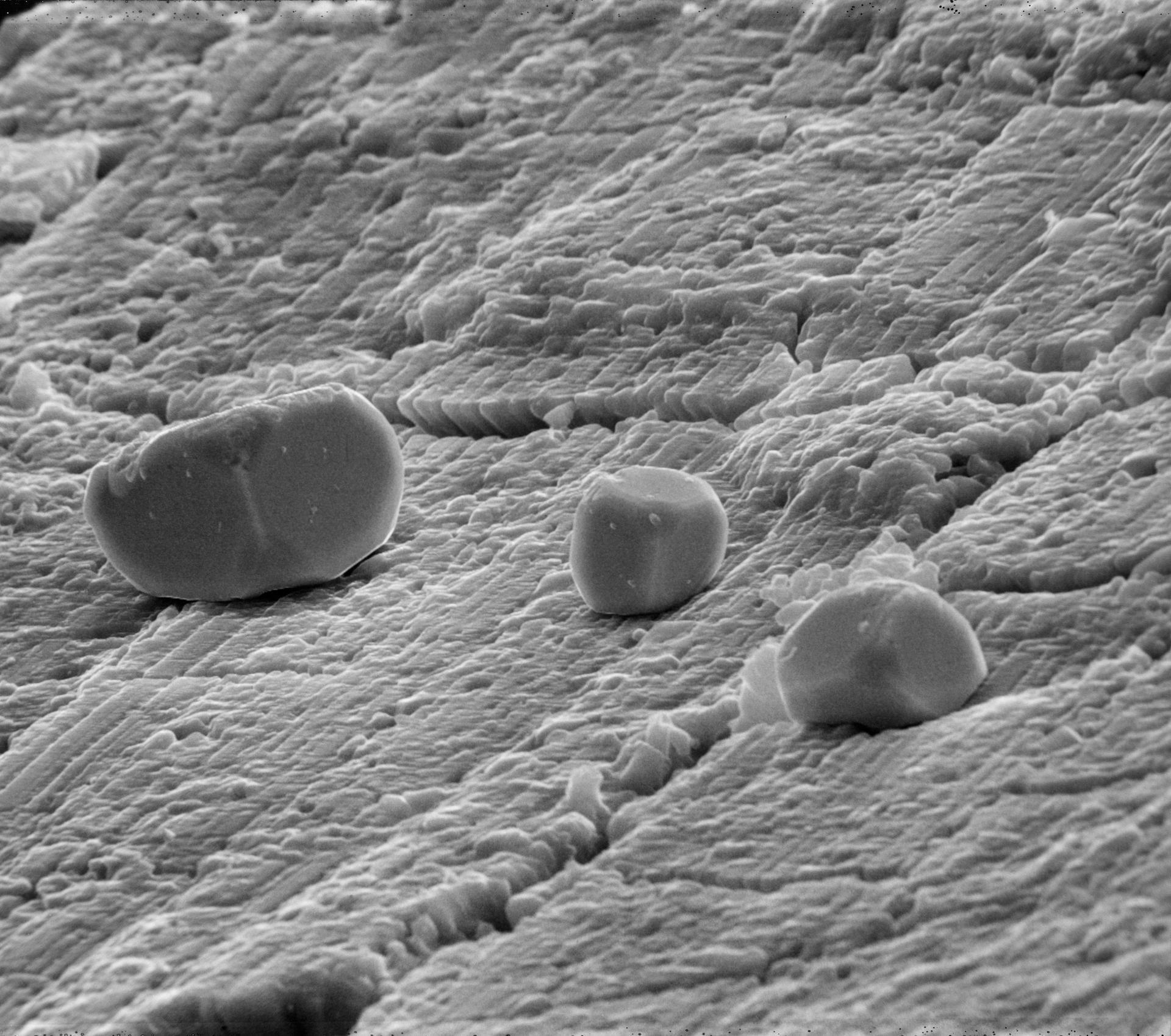 Photomicrograph of an Apollo program lunar sample: a landscape of dark and light mineral grains seen through an electron microscope.