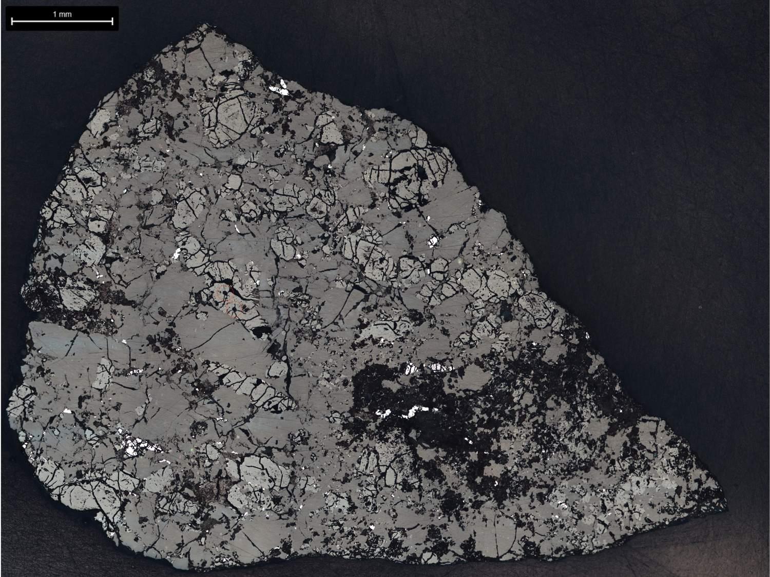 The polished slice of Teghaza 001 seen under a microscope in reflected light, showing gray and pale mineral grains against a dark background.