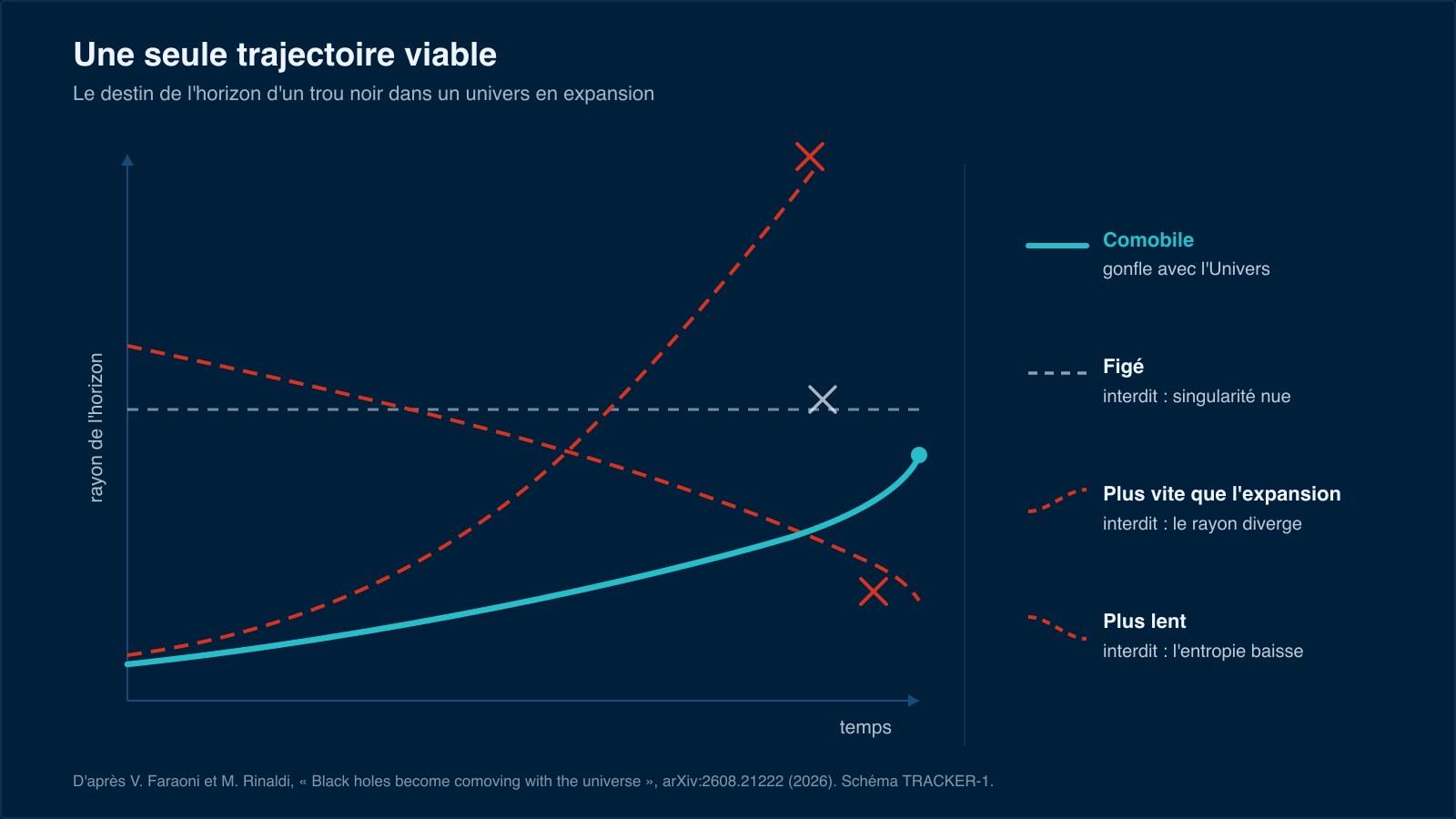 Schéma des trajectoires possibles de l'horizon d'un trou noir en fonction du temps : une courbe figée, une courbe divergente et une courbe décroissante barrées comme interdites, et une seule courbe cyan viable qui suit le facteur d'échelle de l'Univers.