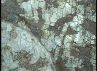 Mars Perseverance Sol 1971: WATSON Camera